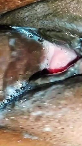 desi village aunty fuck mms, beautiful doggy style xnxx   Clip 1