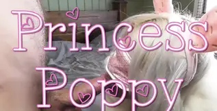 Fluffy Easter Bunny gets her tail plugged and fucked