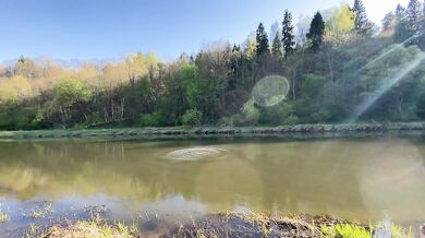 Store køn på en picnic