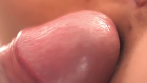 Doggy Style Shot with a Macro Lens
