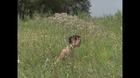 Country Girls Gone Crazy in the Wheat Field