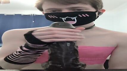 Femboy Sucks BBC Dildo