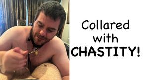 Pup giving me a blowjob and showing off