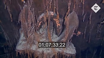 Navio naufragado de 111 aninhos fode com 5 turistas curiosos