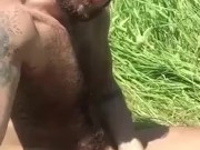 Risky outdoor pig Bator