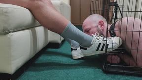 Caged Slave Serving Sneakers, Socks, Feet