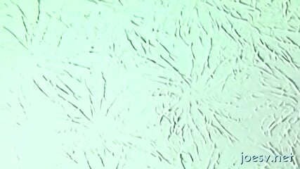 Home alone jerking off on gay porn