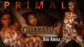 Primal Episode 1 With Ava Amira
