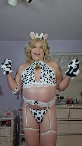 Daddys Fat Hucow, Moooooo!