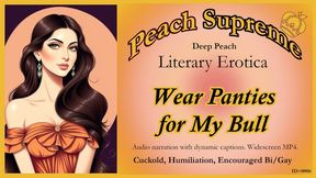 Wear Panties for my Bull [POV Erotic Audio] [cuckolding] ***Visualized Audio Caption Video***