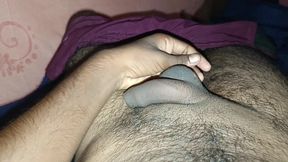 kgysto koys kg