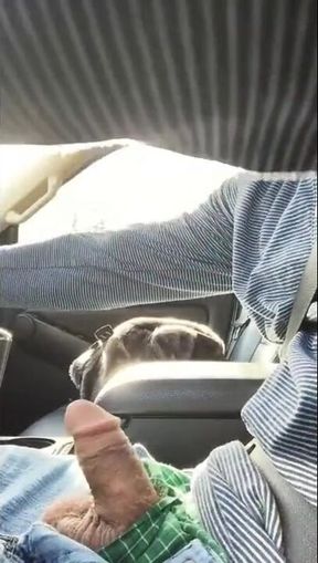 Jerking While Driving on Highway