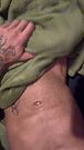 virgin boy's deepthroat fuels frenzied scene