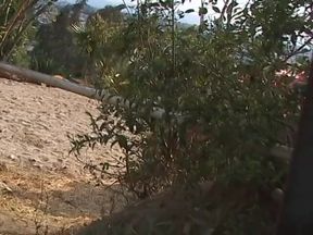 Cowgirls fucking nasty cowboy outdoor