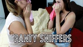Panty Sniffing Sluts (iPhone)