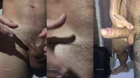 update #335 (november 11, 2021) #allanguerragomes