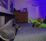 Neon Green Fishnets