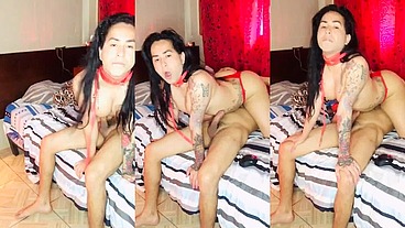 69 latin tranny shemale with huge cock