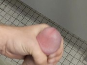 Cockdevotee Jerk Off In Public Bathroom Stall
