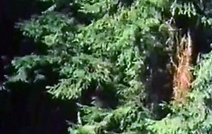 Robin hood der raecher der besamten