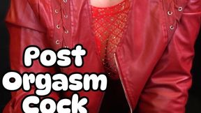 Teasing Handjob with Post Orgasm Cock Slap