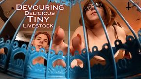 Devouring Delicious Tiny Livestock - VR 360 - featuring Kane Fawkes and Jane Judge, in this hungry giantess and giant vore video with tinies kept in cages and fattened up for months before being seasoned and prepped to cook and then swallowed raw, as your