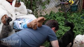 You belong on all fours like the other pets