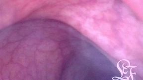 you can swim through her ass when it gets filled with water