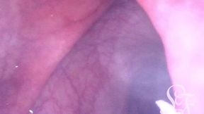 you can swim through her ass when it gets filled with water