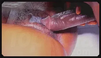 Hot Encounter with Chef: Big Cock Action!