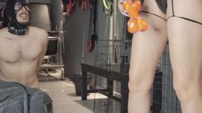 000050 Dama Vida humiliates her puppy