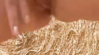 Reaper of the Fuck A Cornfield of Carnal Delights