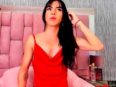 Big tit shemale jerks her long cock