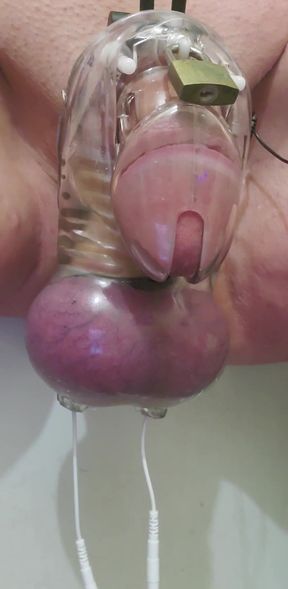 30 minutes of electro chastity no cum denial