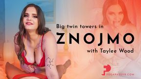 Taylee Wood And Fake twin Towers - Big In Znojmo With