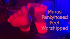 Mura Suru’s Pantyhose Feet Worshiped - Nylon Foot Worship WMV