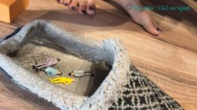 DrArches Torments and Destroys Four Tiny Spies (1080 mp4)