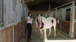 private riding school - the complete movie - anal - big tits - creampie