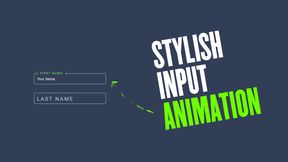 Stylish Input Animation Using CSS