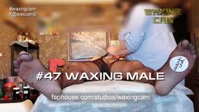 #47 Waxing Male