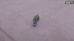 Miniature Misfortune - Exclusive