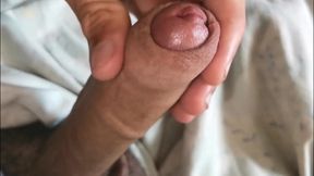 Beautiful Swollen Red Head of Horny Big Cock