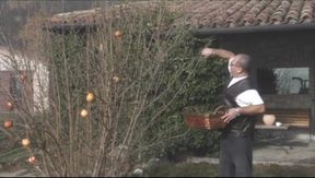 Threesome pussy penetrated party