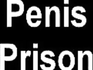 POV Cuckold volume thirty