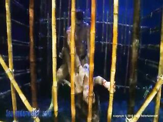 Sex In a Cage UnderWater