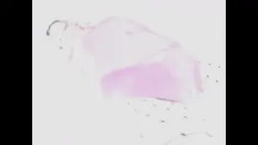 Amazing deepthroat in bukkake with swallow of XXL COCKS / 8