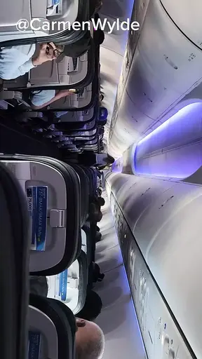 She can′t wait to get home and gets naked on the plane