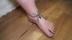 BBW feet worship #89