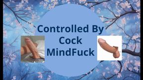 Controlled By Cock MindFuck