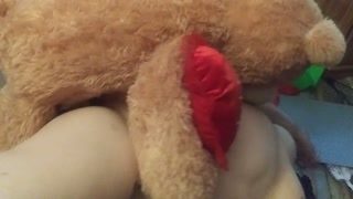 Twenty minute romp with Mr Teddy